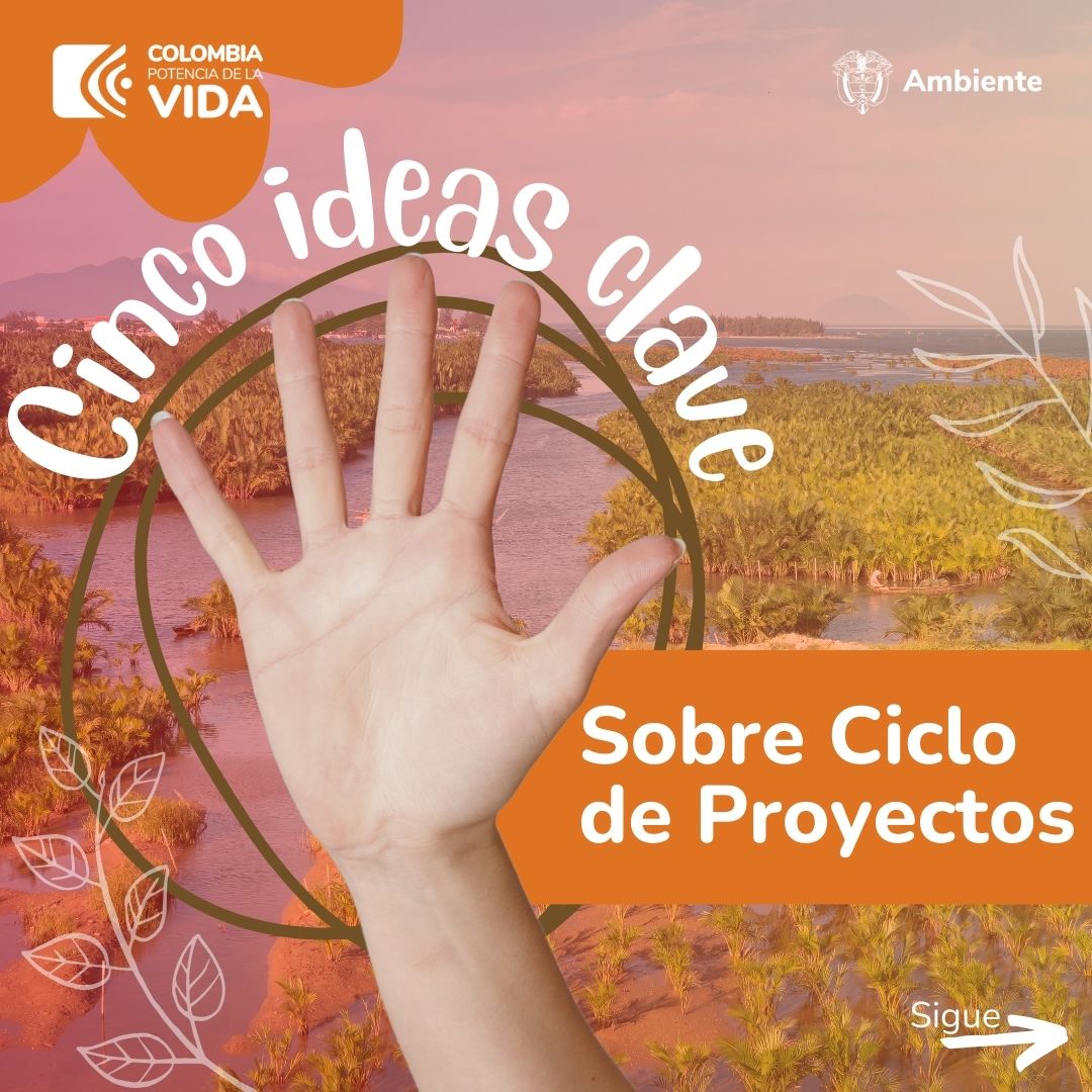 5 ideas Ciclo 0