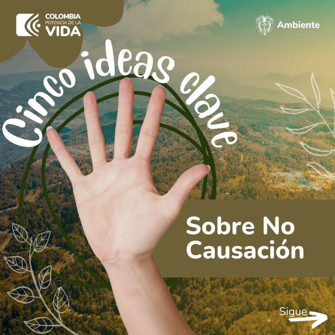 5 ideas No Causación 0