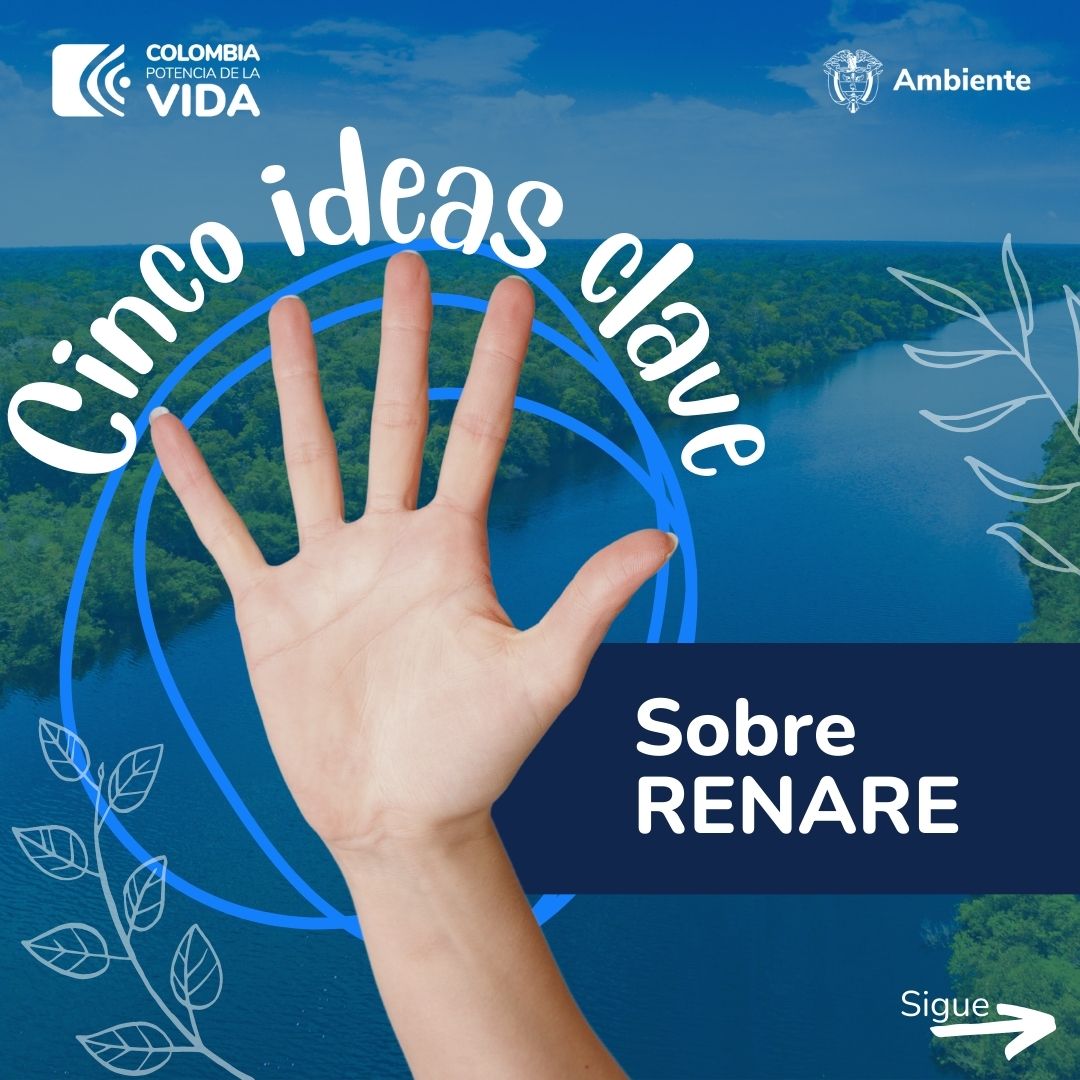 5 ideas RENARE 0